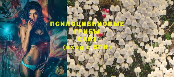 прущая мука Осташков