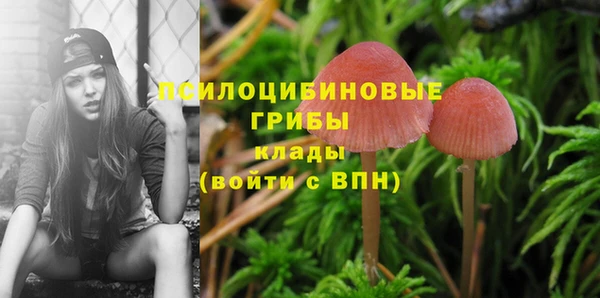 кокаин премиум Нязепетровск