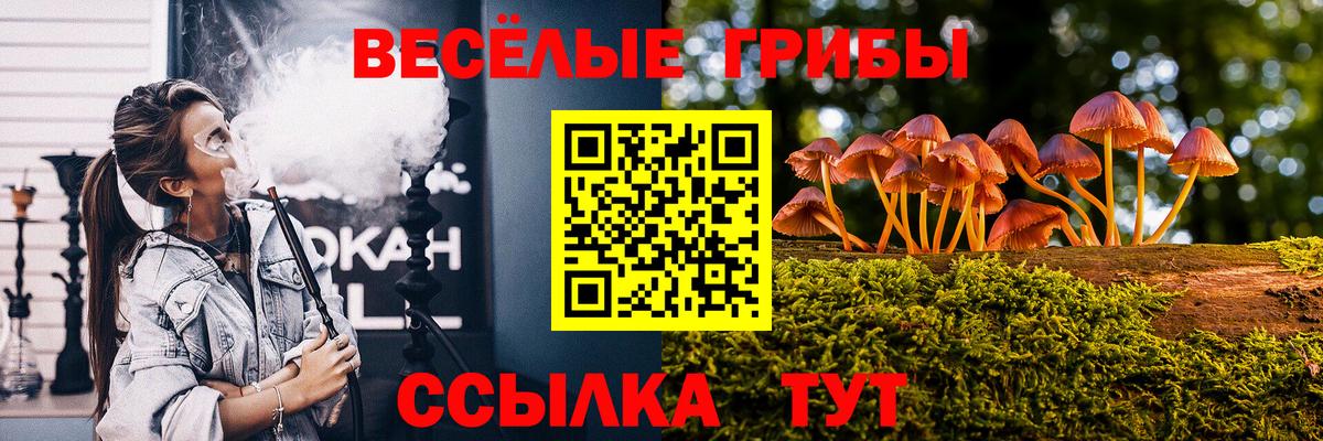 Псилоцибиновые грибы Psilocybe  Вход с VPN  Красноперекопск 