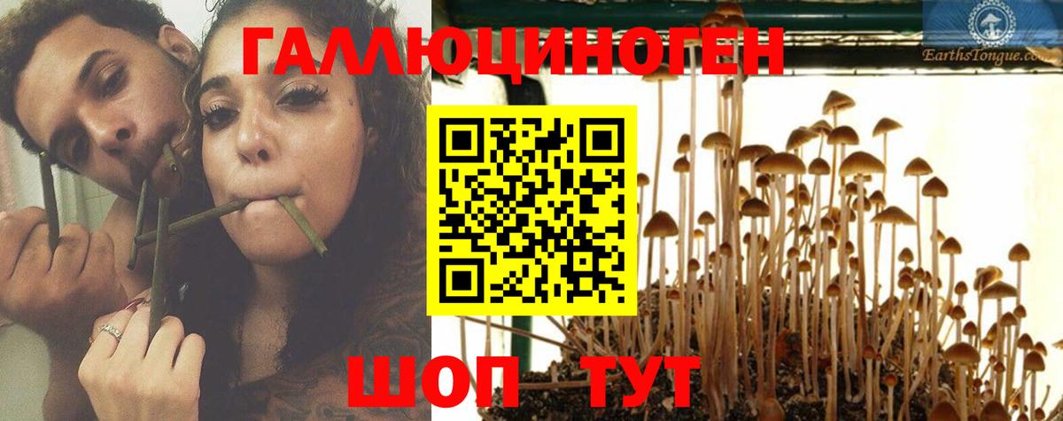 Галлюциногенные грибы Cubensis  цена наркотик  Красноперекопск 